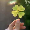 🍀Mochi🍀