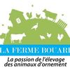 moctarbouare792
