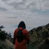 mau_teajuss