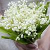 lailaelsayed128