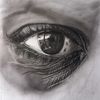 noloss_art