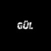 pm_gulll