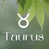 369taurus