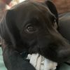 buddy123685