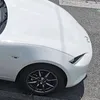 stanrx8