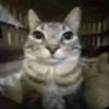 antony__845