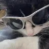 tthewh0_