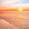 amy_radic_realtor
