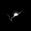 ghzxt_