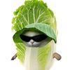 chananchaikrapho4
