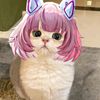 terakomarichan