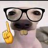 el_nowe