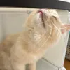 べ
