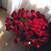 asrar3343