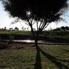 hayatht511