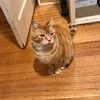 cathdog1299