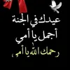 user9617774510624