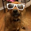macwoof80