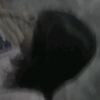 fiaa_26_9