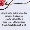 shagull_bakar