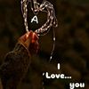 afaf.ahmed348