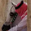 olololololollololo