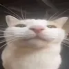 j0s3ph43