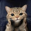 kemishkinan