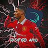 rashfxrd.am10