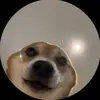 Seal Winnie