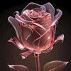 user3907807546284