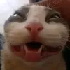 eh_o_rickzin