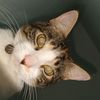 ernesto._0811