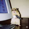 aelmo79