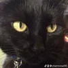 charmrose95