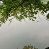 nurulchoriah2