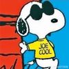 joe071308