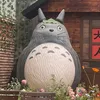tuổi trẻ yếu víaa