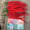 dewatani.official.farm