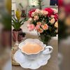 hnoda_81