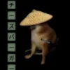 bipbop_21