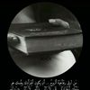 shah111221