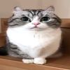 pap.wumin