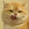 bbbntkps