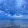 ran_55554