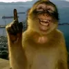 lababoobi