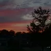 dylxnoo