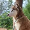 joey.kk1