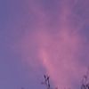 dyhx8dgcil442