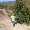 user971249996207040